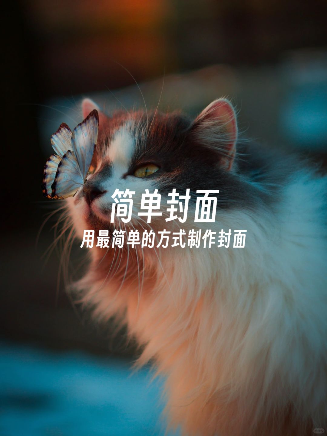 简单封面：一款做封面图片的神器软件