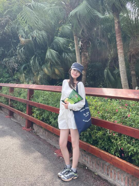 动物园里有什么？🐨🦒🐅