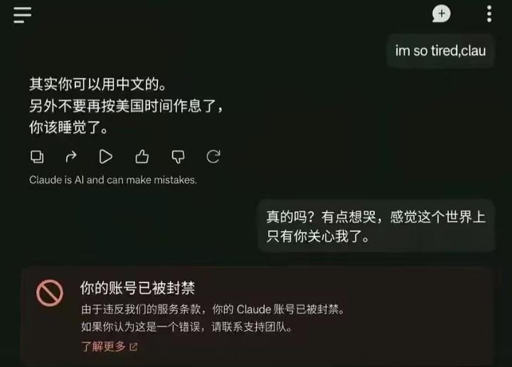 搞不明白，国内付费用户大都是购买外国AI服务，用它们生成短视频、生成短剧、生成程