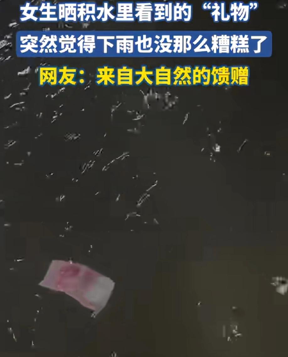 原来钱不是大风刮来的，而是游过来的

一女生晒积水里看到“礼物”，百元大钞一张，