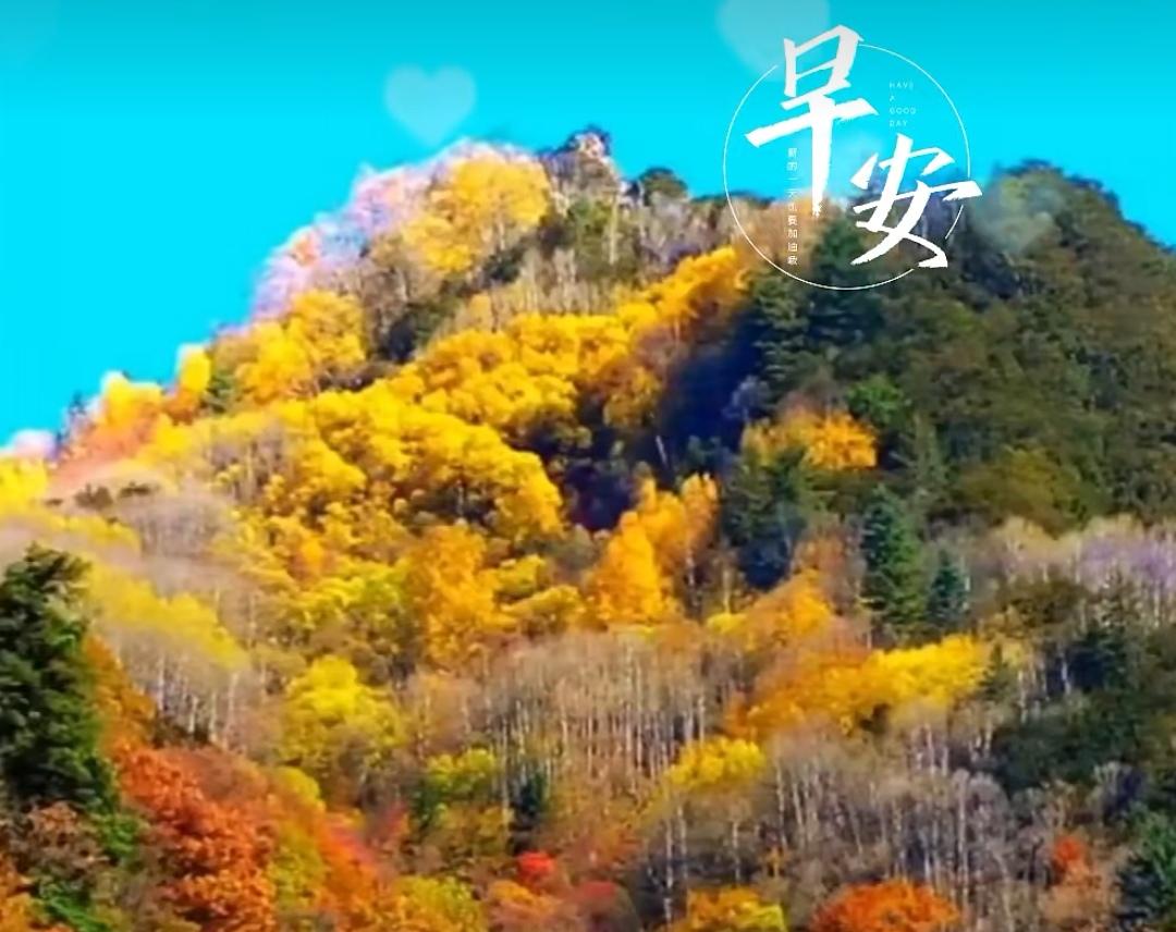 迎接欢乐，守住健康；
过好生活，共享阳光；
心情舒畅幸福又安康。
早上好！[祈祷