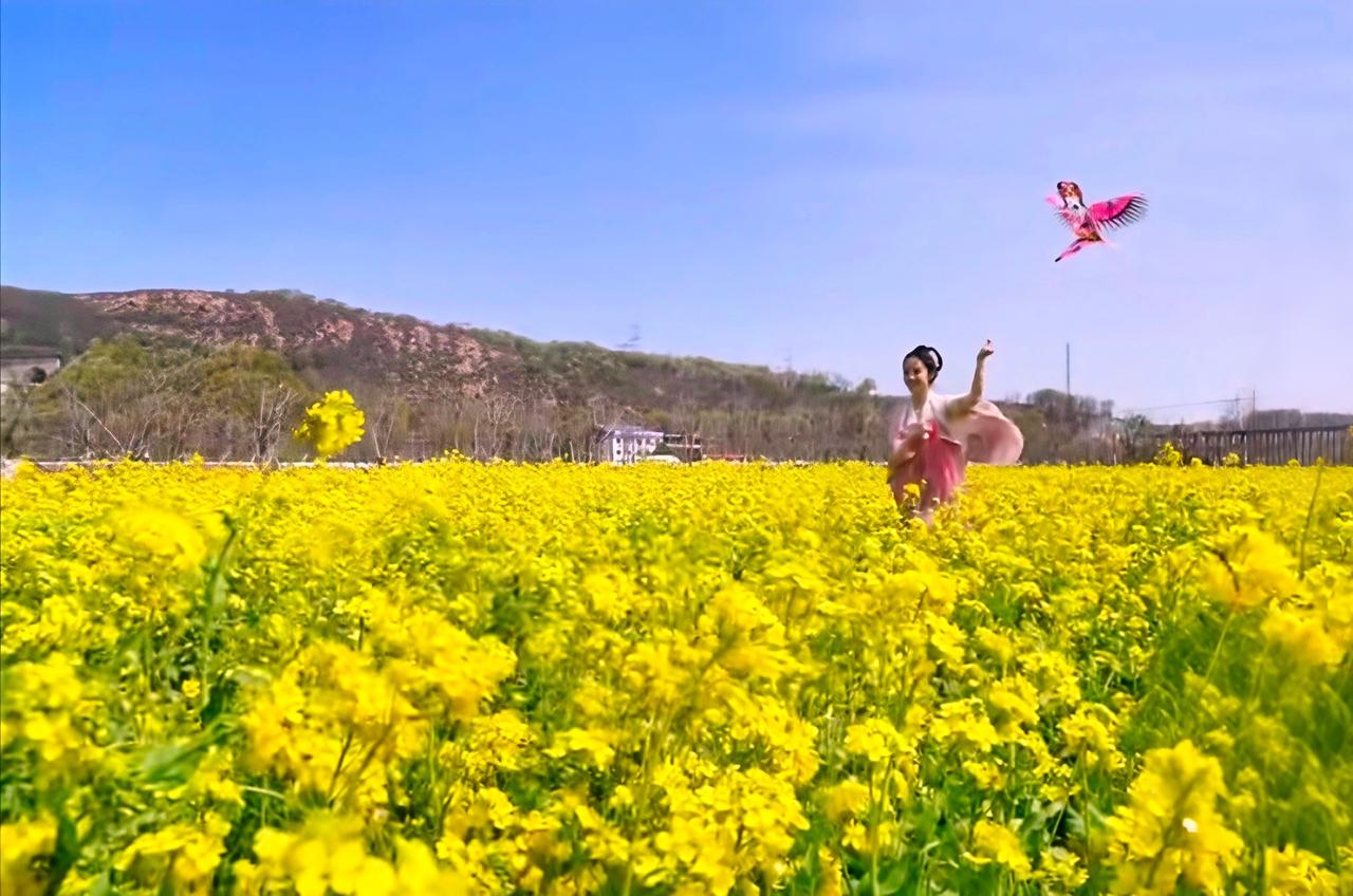 风是带着暖意的信使，撞开了满田金黄的油菜花。
 
不必刻意寻找春的踪迹，它藏在每