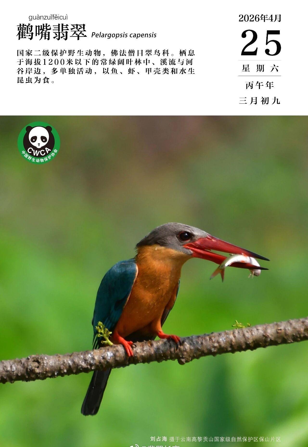 周六，早上16度被冻醒，赶紧爬起来加毯子加被子。现在又28度热醒，太阳当空照，一