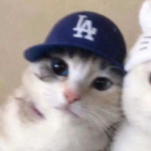 好可爱的情头～