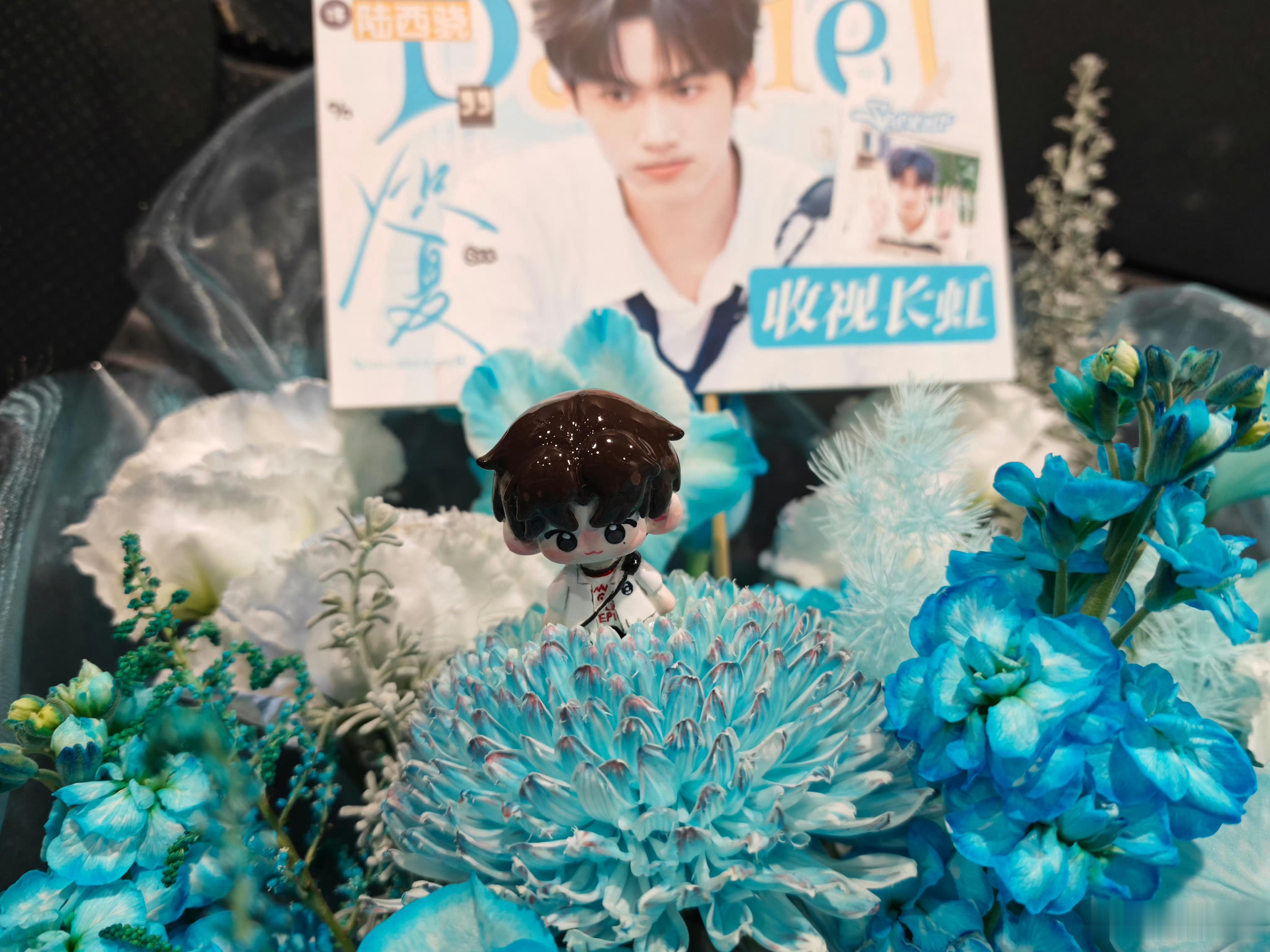是宇航员在追剧团送给柯宇的花，哥哥给我们拍了返图🥺🥺😭😭周柯宇陆西骁 /