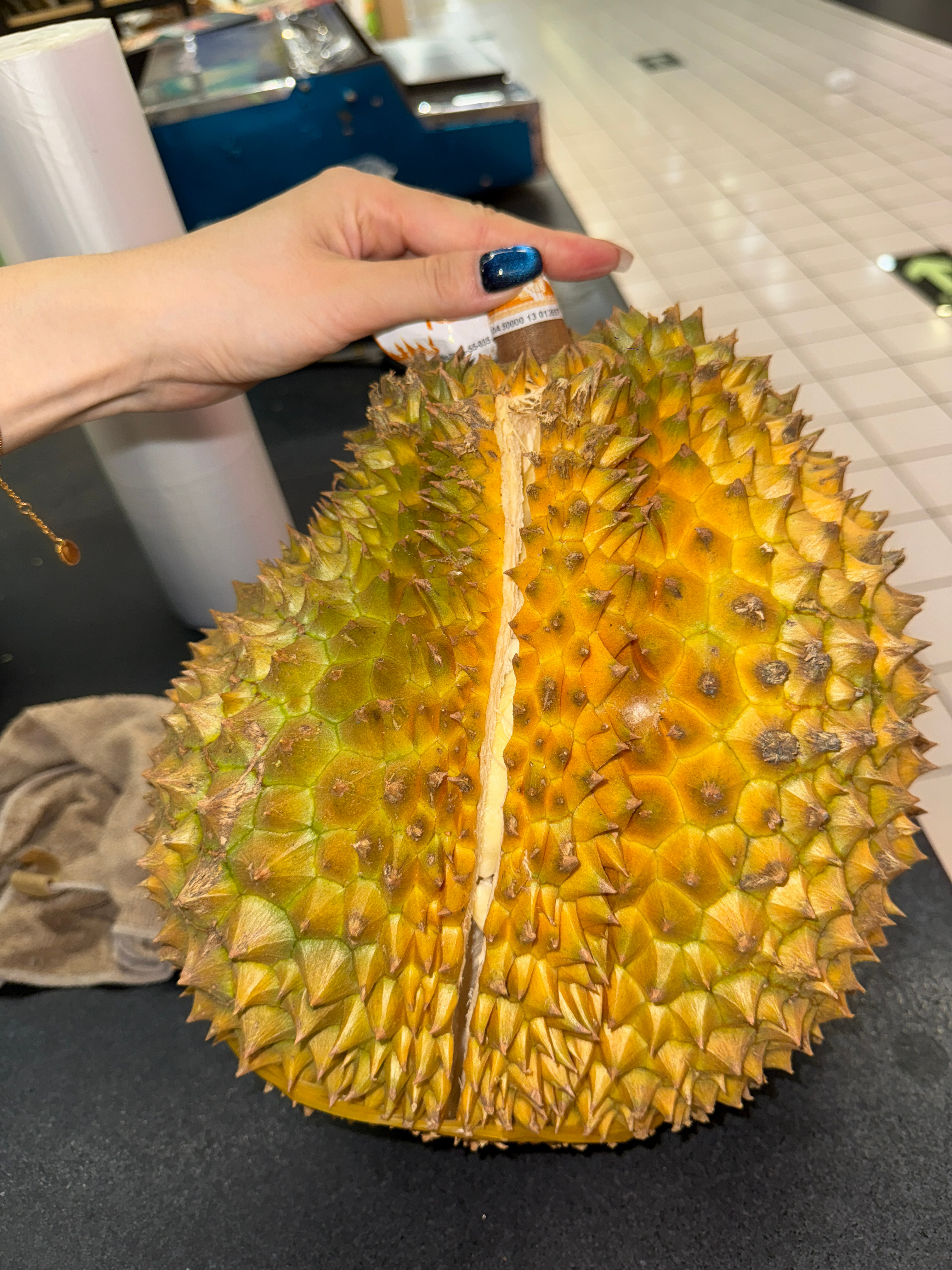 美景手机先吃，美食我先吃 ​​​好好吃饭 ​​​