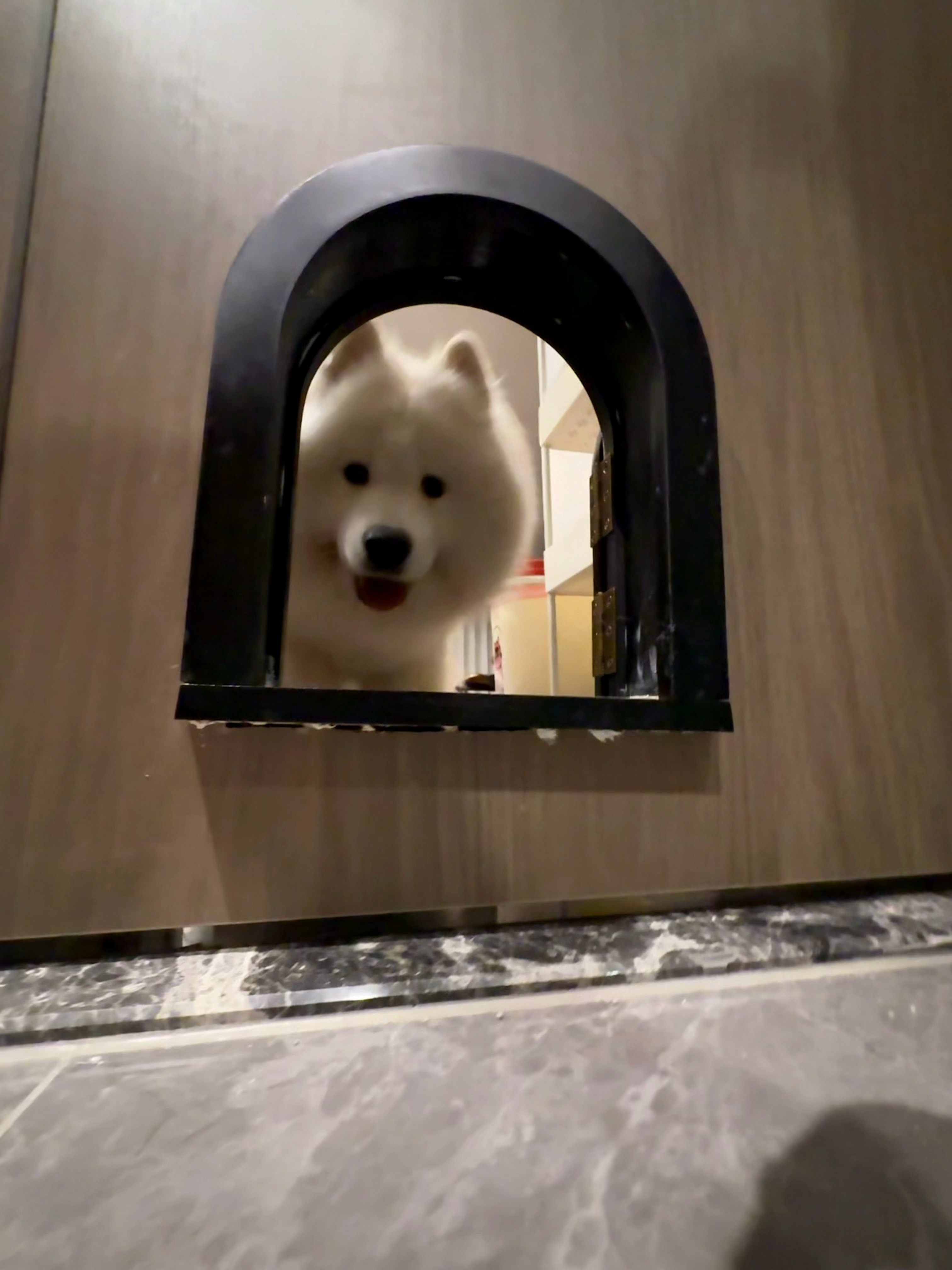 分享图片 ​​​
