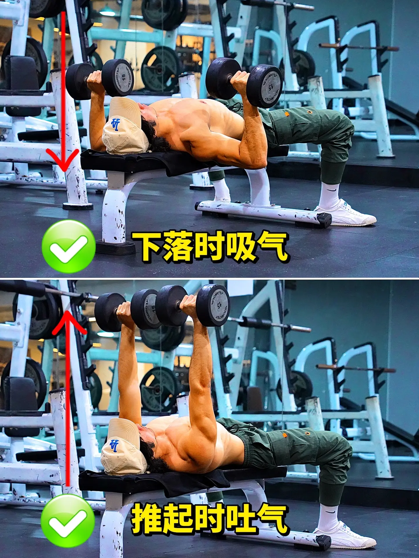 平板哑铃卧推教学！平板哑铃卧推胸肌没感觉？看看这些细节你都做对了嘛？哑...