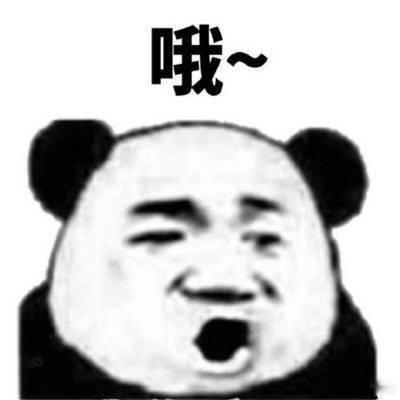 小狗参加运动会好小众画面 平日里看的都是人类赛场，突然刷到狗狗运动会觉得好新奇，