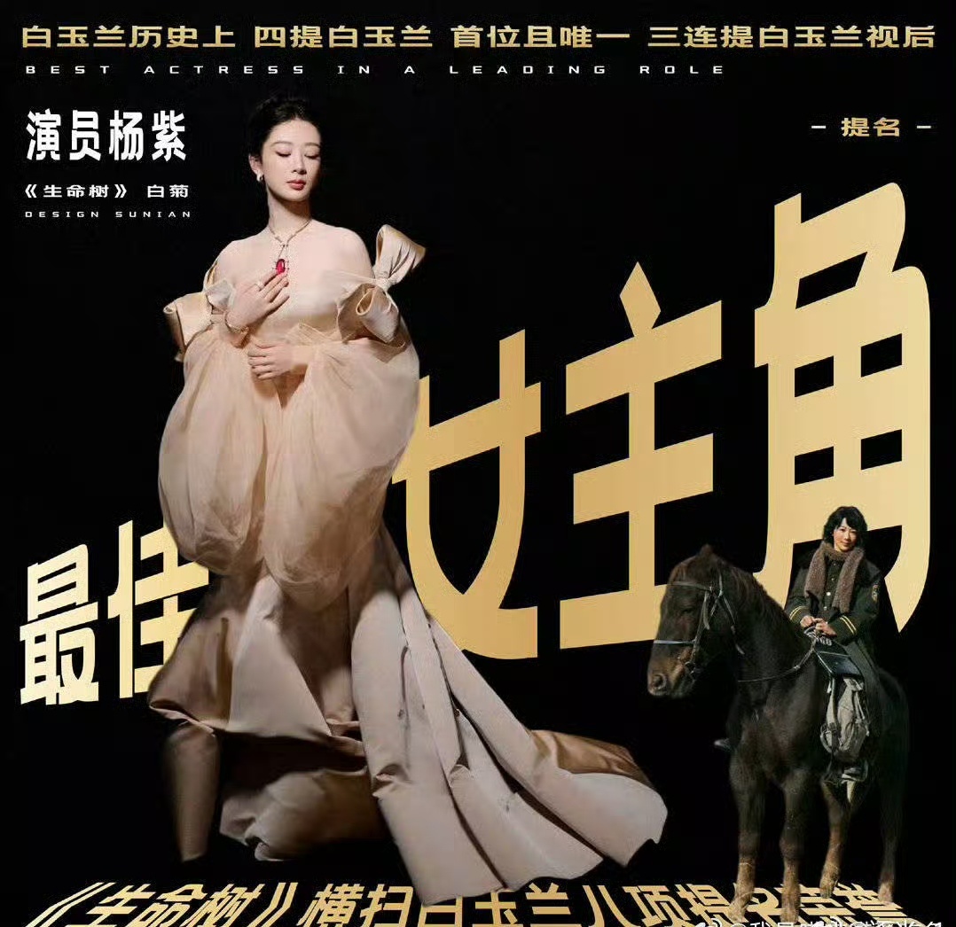 杨紫白玉兰视后 实至名归 秒鲨同届演员…… 