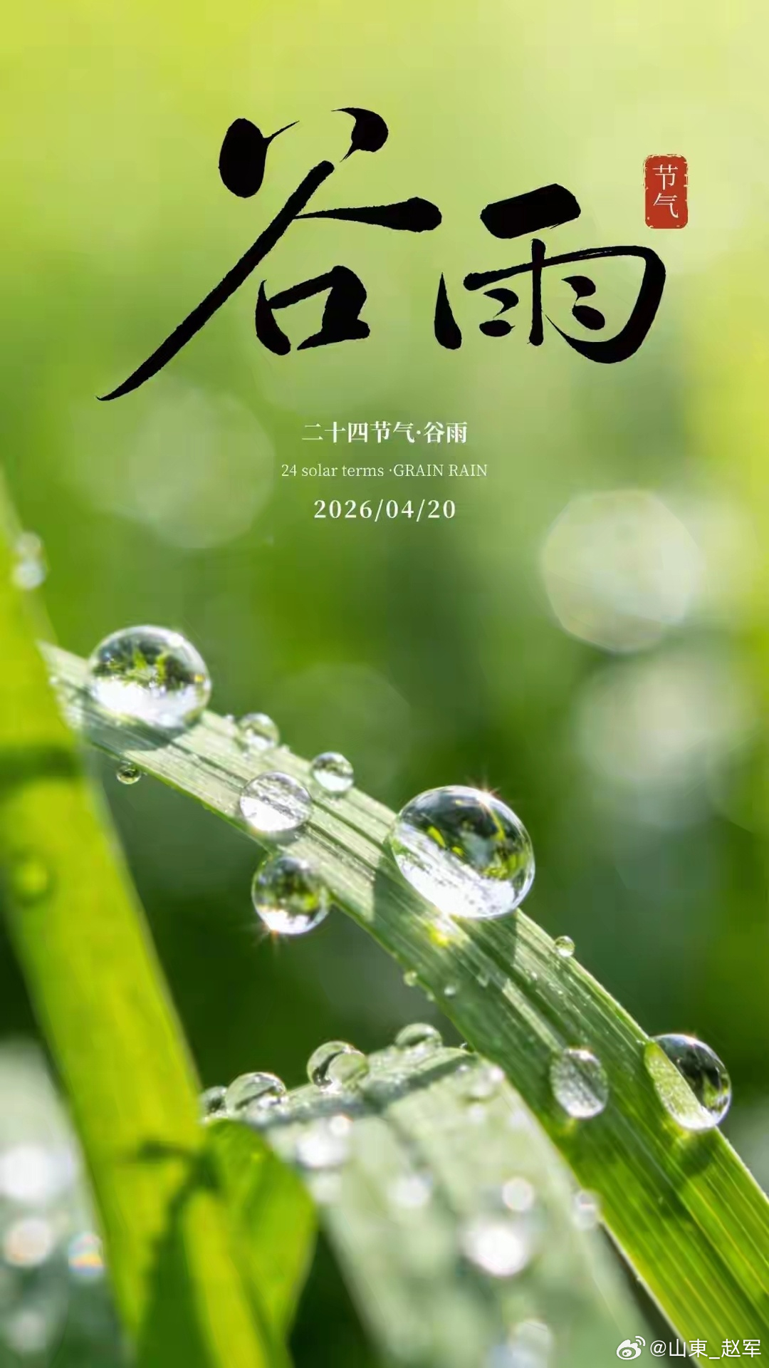 雨润百谷，不负耕耘：在谷雨时节，静待岁月开花结果当最后一缕春风携着温润的雨丝洒落