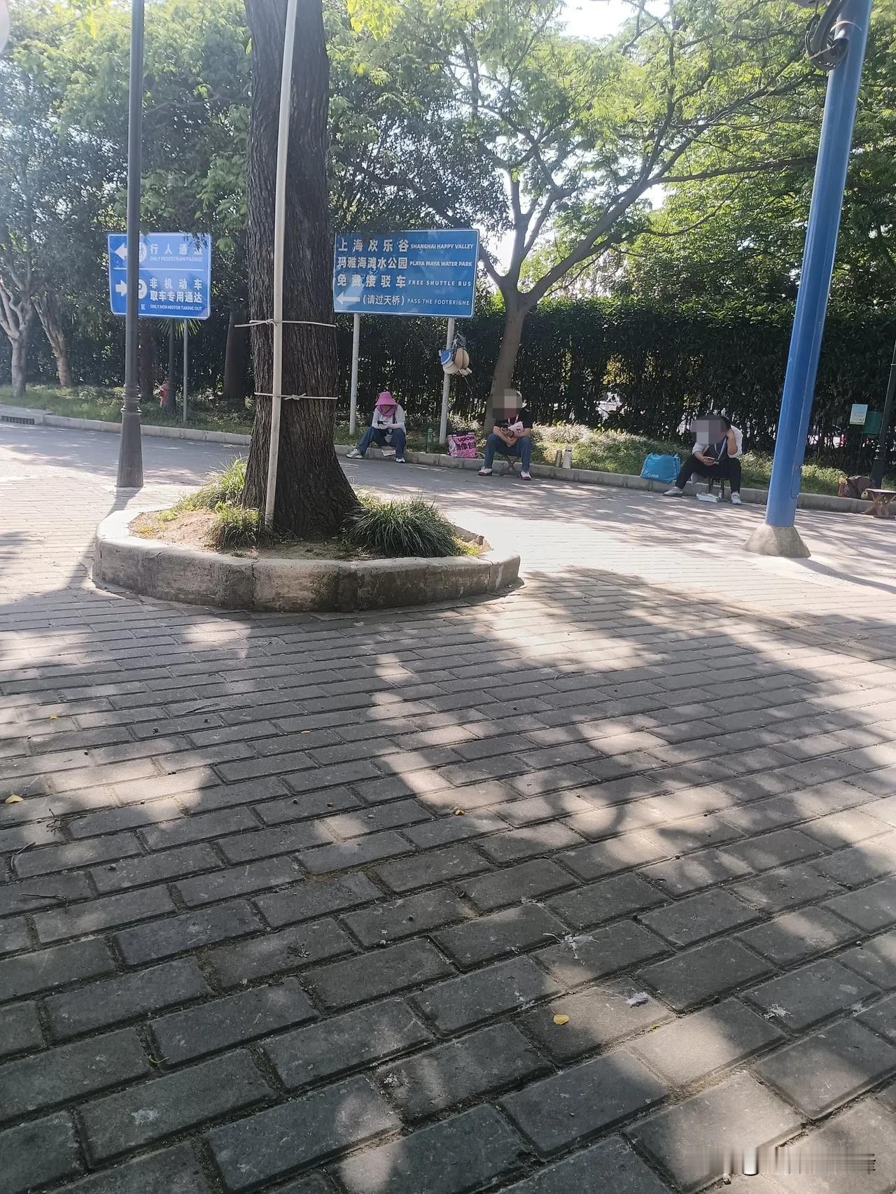 在上海靠这样的方式讨生活，真不知他们怎么活？[捂脸]
佘山地铁站出口处有两块醒目