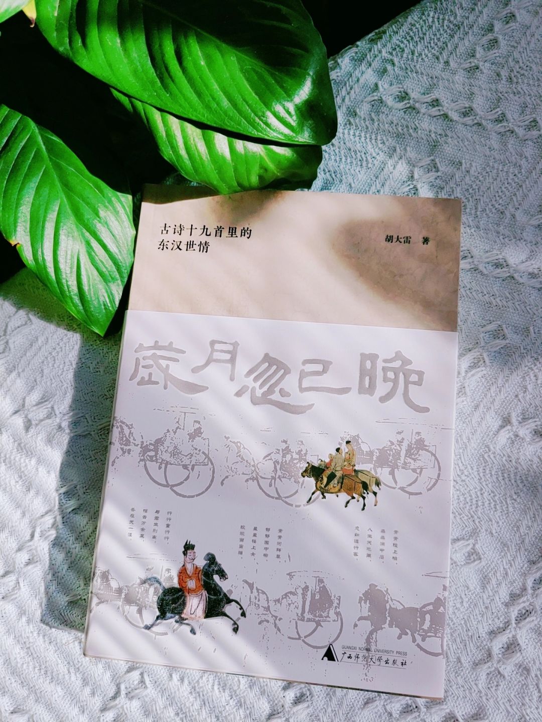 我会被文字打动 🌟思君令人老，岁月忽已晚。这句话的威力很猛啊，是不是戳中了正在...