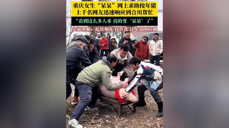 你是否曾在繁忙的生活中，感受到那份对未来的不确定？在这个快节奏、高压力的社会，很