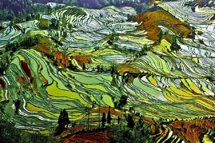 云南·红河·元阳梯田｜山有梯田坝有海，谷有红河岭有泉 