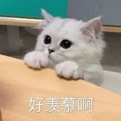 准老公萧逸也会眼红吗？和萧逸结婚的事还没提上日程，朋友比你和萧逸先举办了婚礼，你