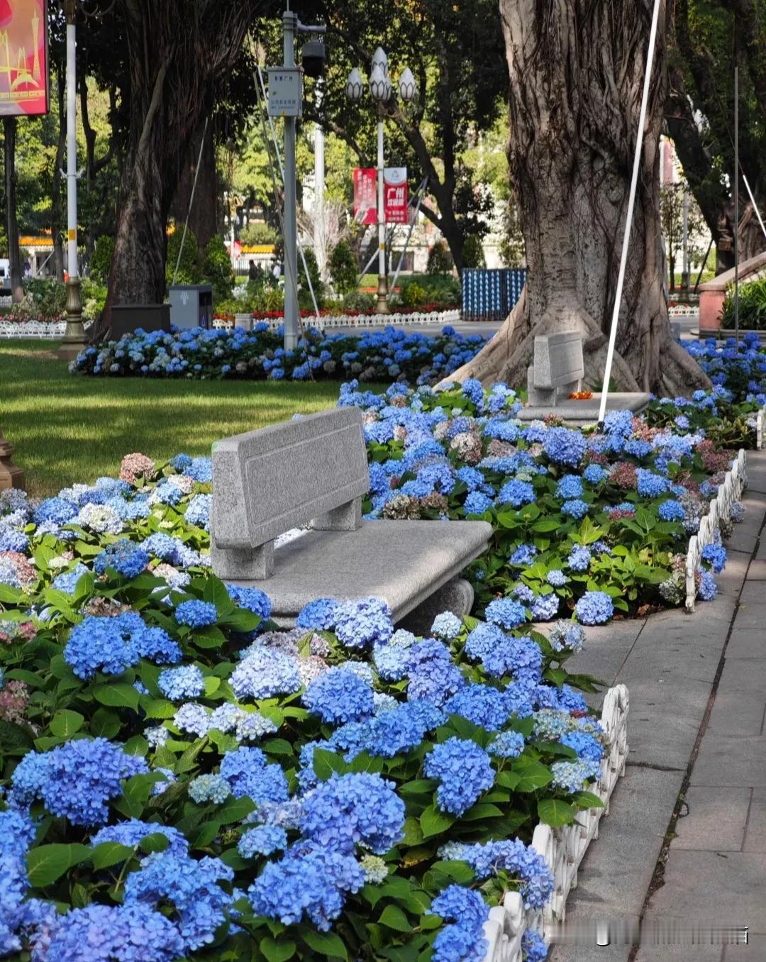 冬天去广州的公园逛逛，简直不要太惬意！就说海珠湖公园，它可是12月广州的颜值担当