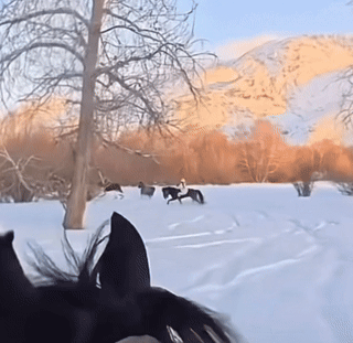 看了贺娇龙坠马的视频，

发现其实最危险的不是从马背上摔下来的那一下，

而是来