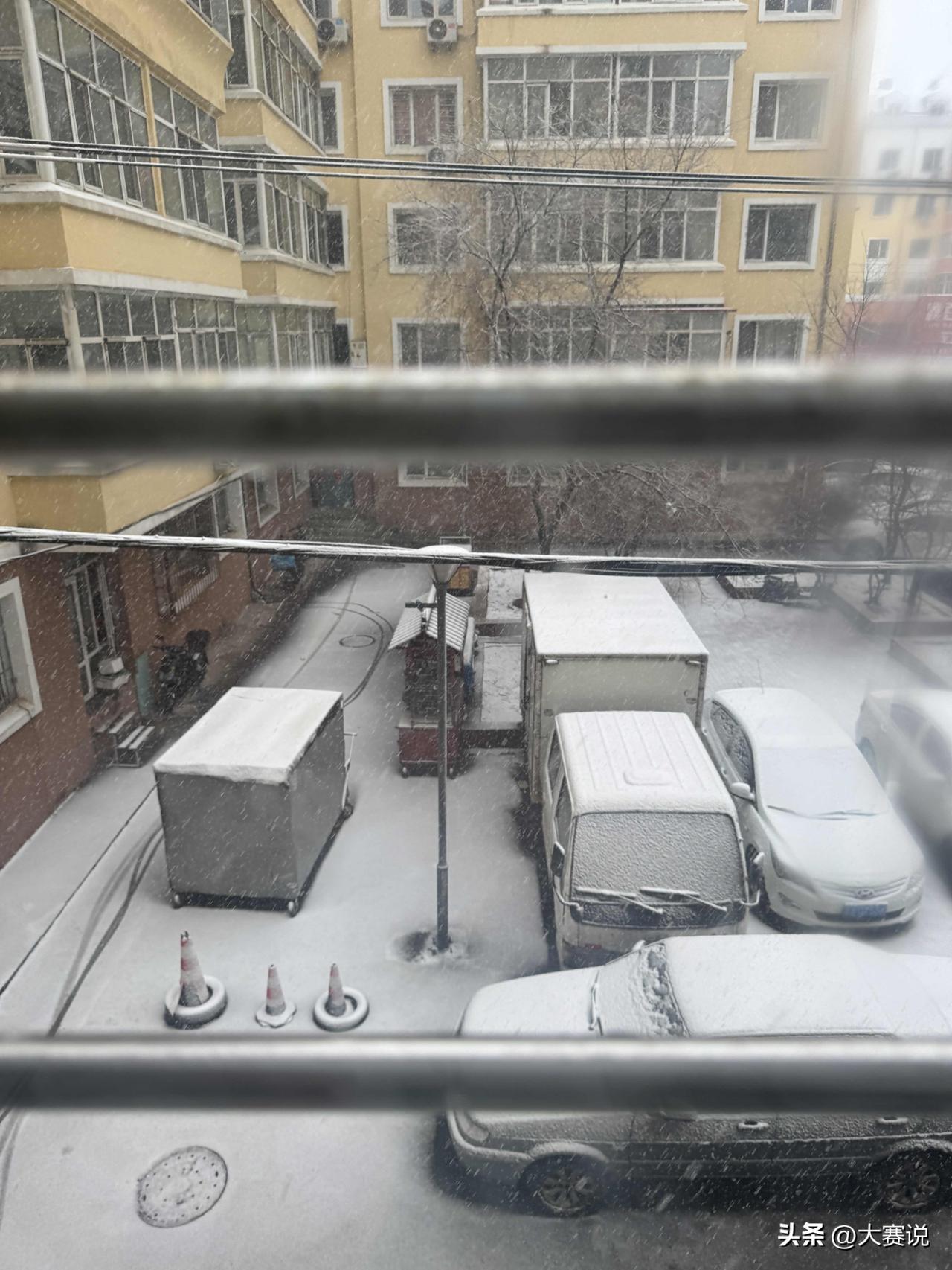 哈尔滨这4月的雪，直接把清明过成了深冬！都说清明时节雨纷纷，咱大东北直接给你整成