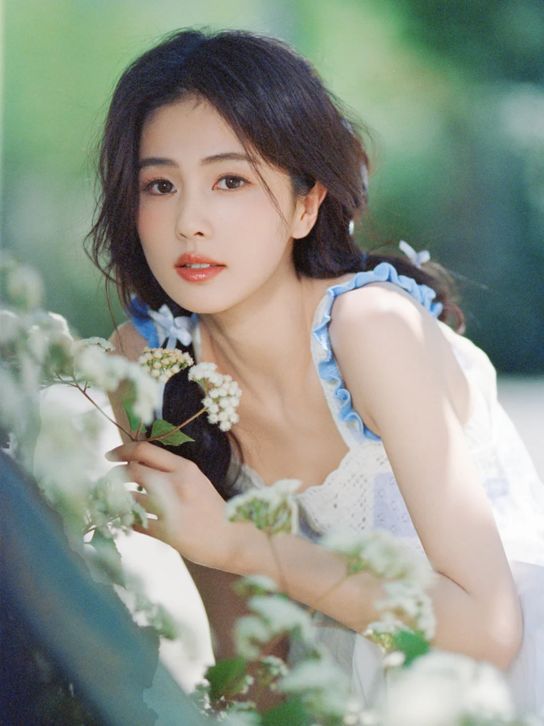 明星写真1645【白鹿】