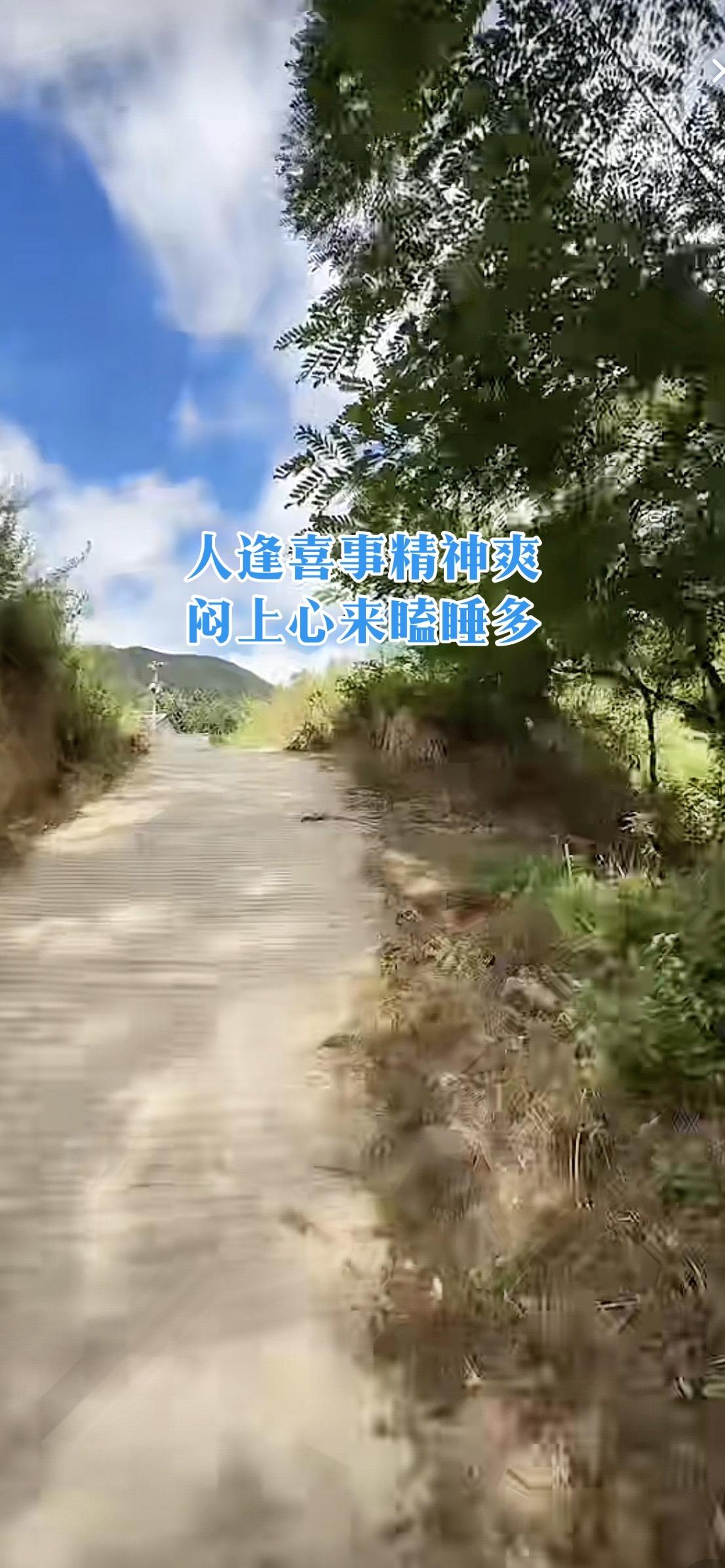 走在乡间小路，风里全是自由的味道大山里的原生态风与自由 治愈 随拍伙伴计划