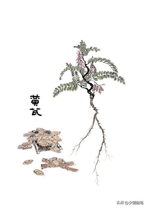 之前被植物神经紊乱折腾了小半年，西医开的助眠和调节神经的药吃了总觉得昏昏沉沉，后