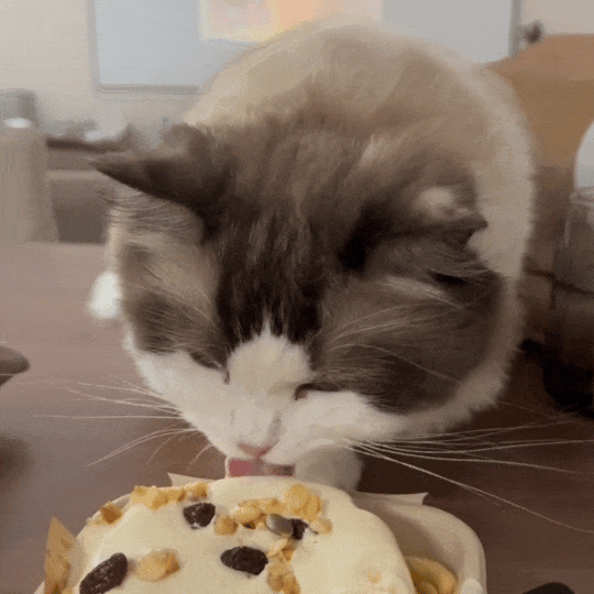 还要等多久？大A才能开盘。我都等不及了