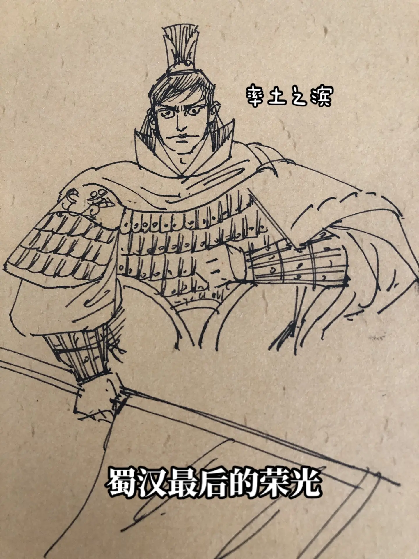 天水姜伯约。率土之滨画画