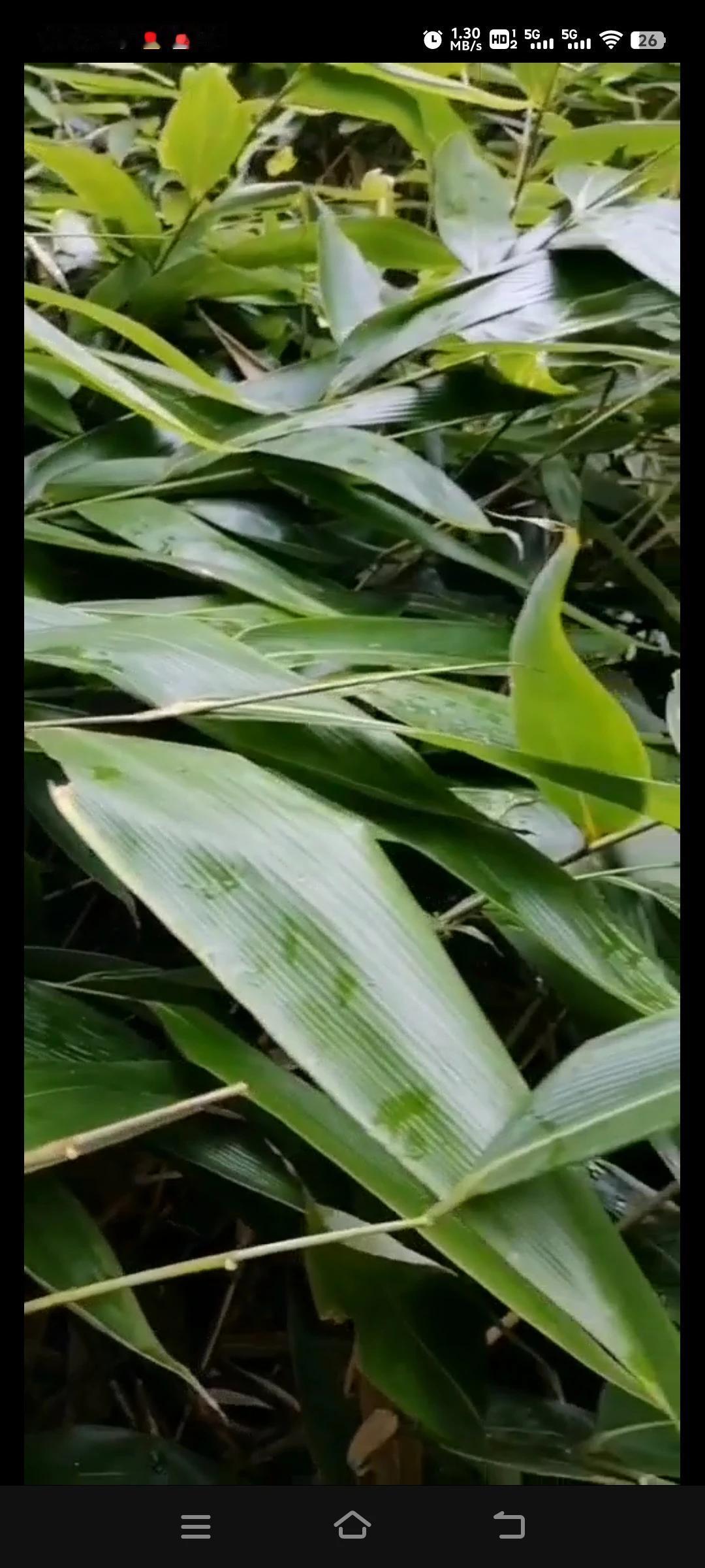 我朋友是湖北恩施那边，鞋厂淡季的时候她邀我到她家去玩，去住个一两，个月，没事可以
