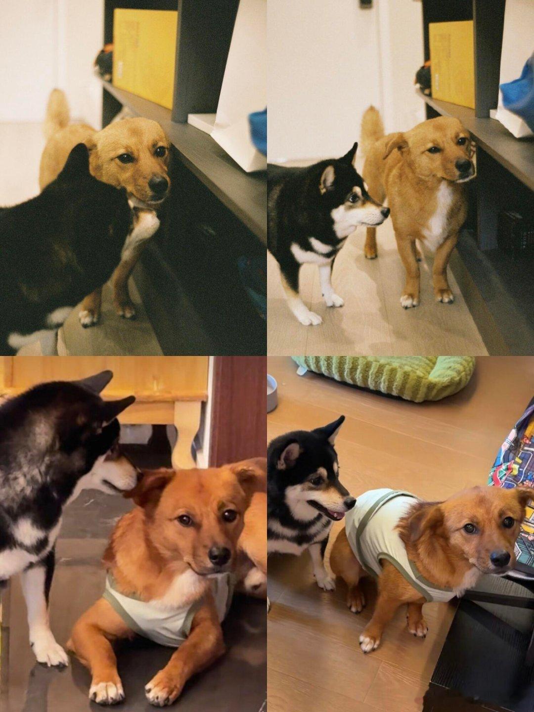 十个勤天似曾相识，大小姐还是那个大小姐，茶包还是那个茶包十个勤天‖种地吧‖ 