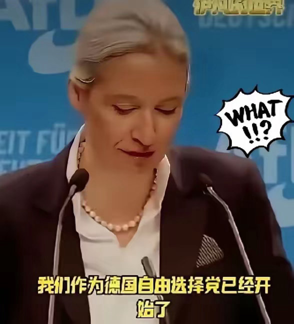 德国人为什么选择魏德尔。因为德国不想被犹太人绑架。这个前纳粹高官的女儿，虽然浑身