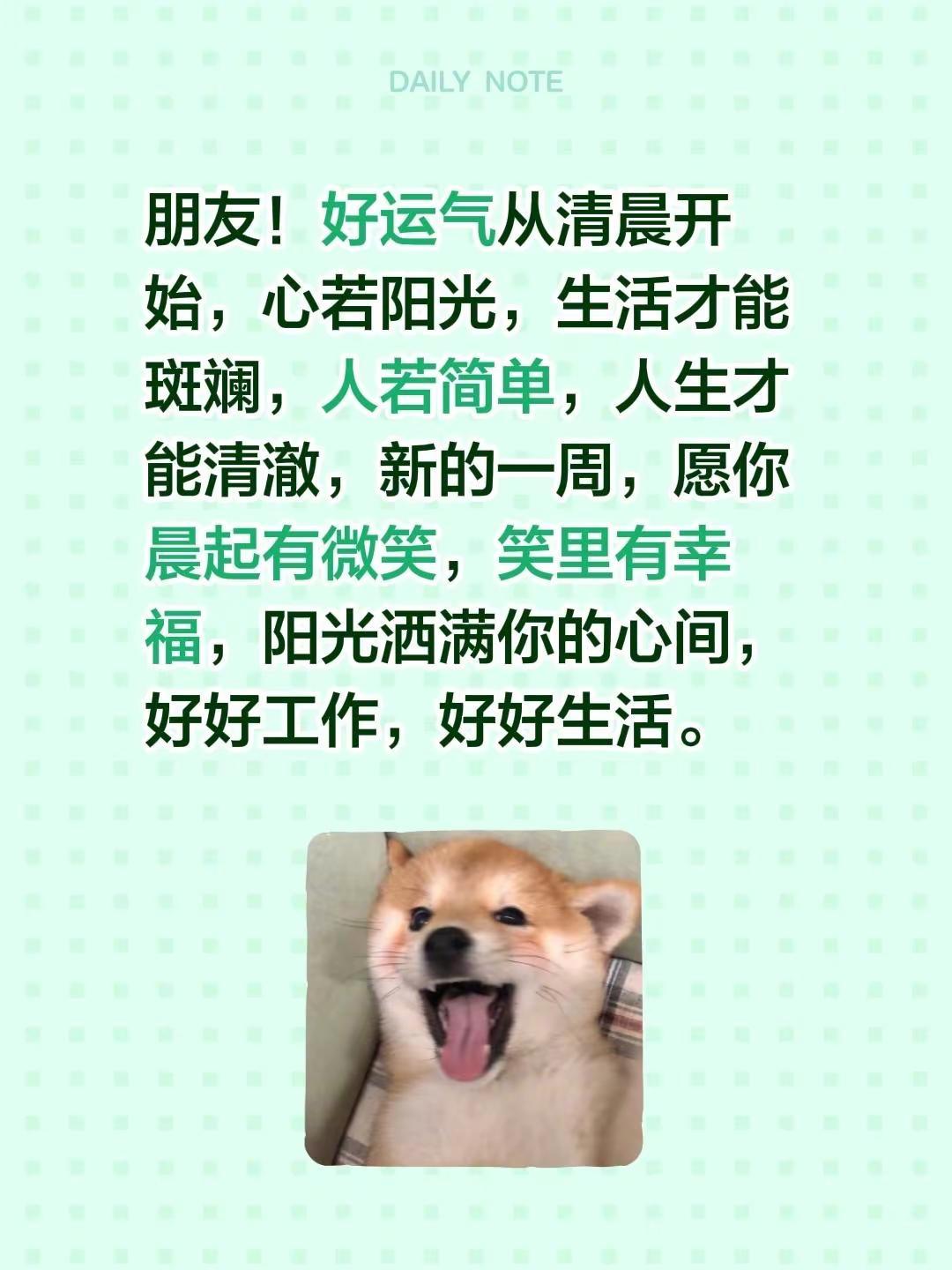 蓝光心里话……我评论了@蓝光的书房 的作品：朋友！好运气从清晨开始，心若阳光，生