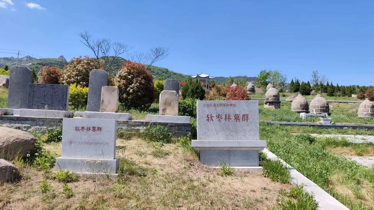 今天来到威海市文登区界石镇软枣林村，探访隐匿在这里的软枣林墓群，真没想到威海还藏