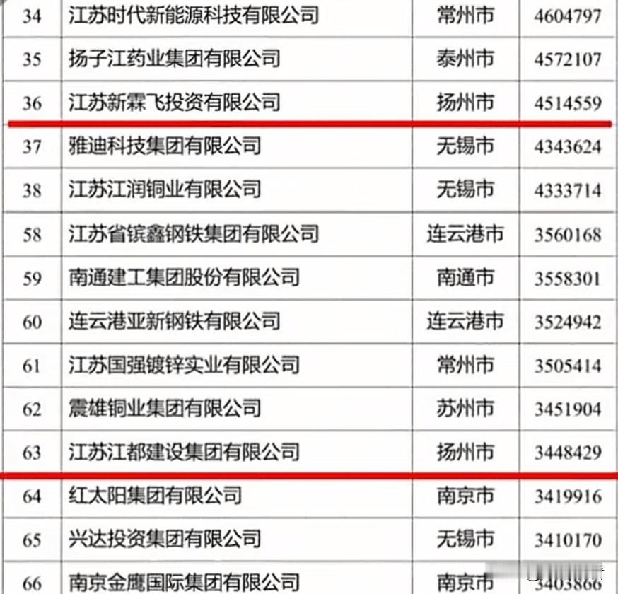 扬州骄傲！有2家企业冲进江苏民企百强🔥
 
扬州人速看！2025江苏民企百强榜