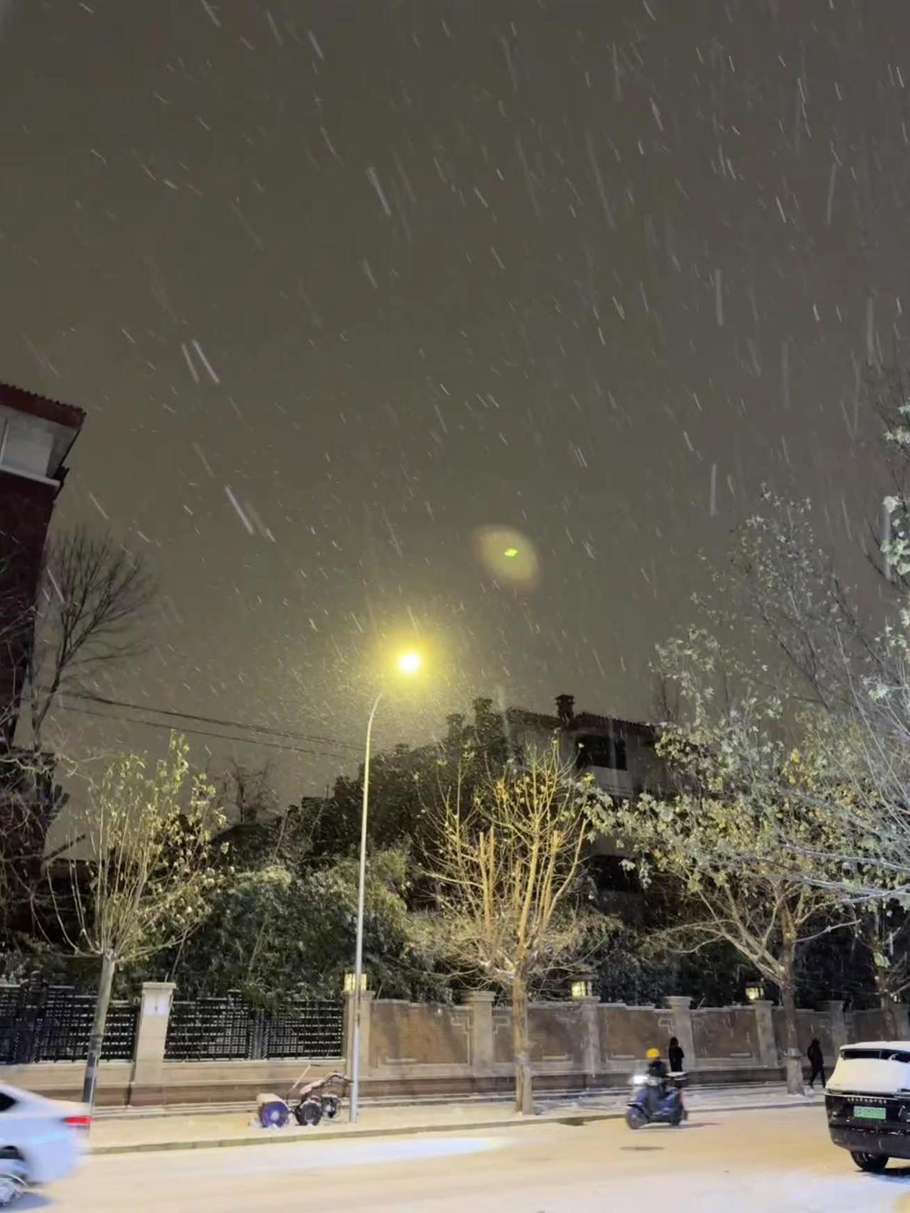 初雪❄️ 夜景 下雪啦