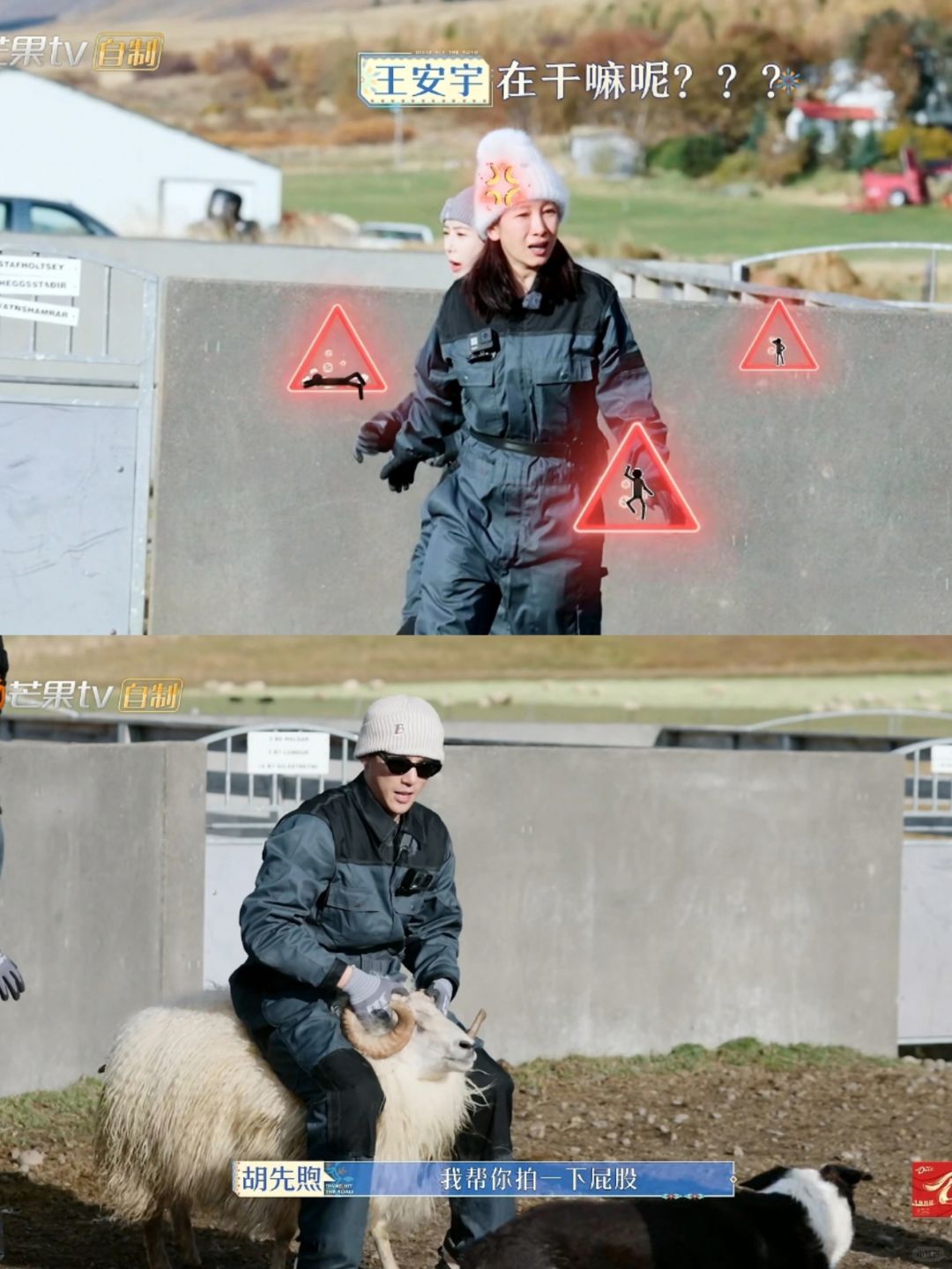 王安宇哈哈哈哈，笑死我了这一段