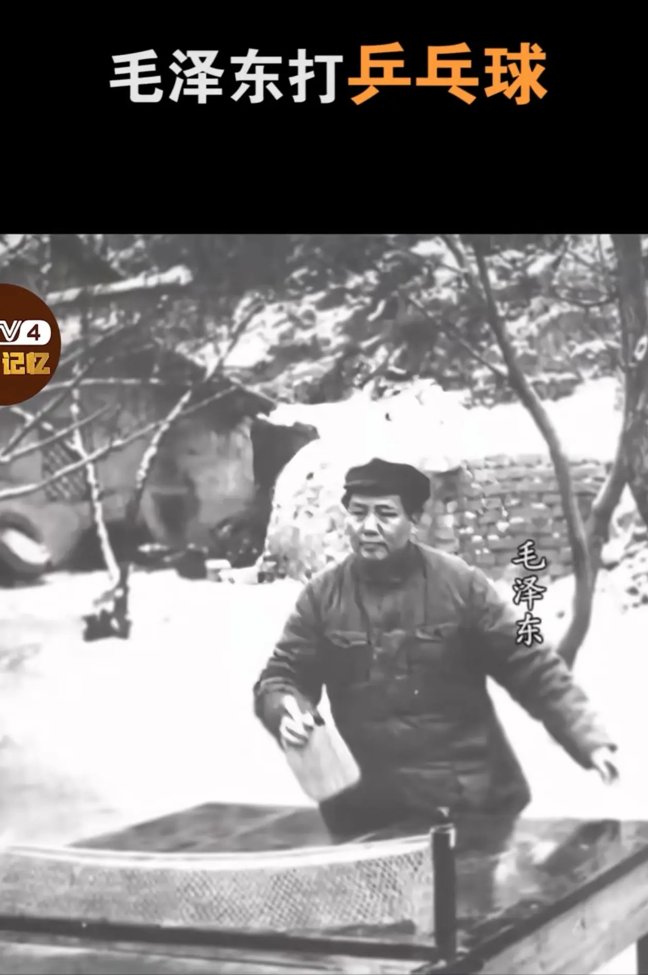 当年在延安，领导人们认真锻炼身体，为革命储备力量。