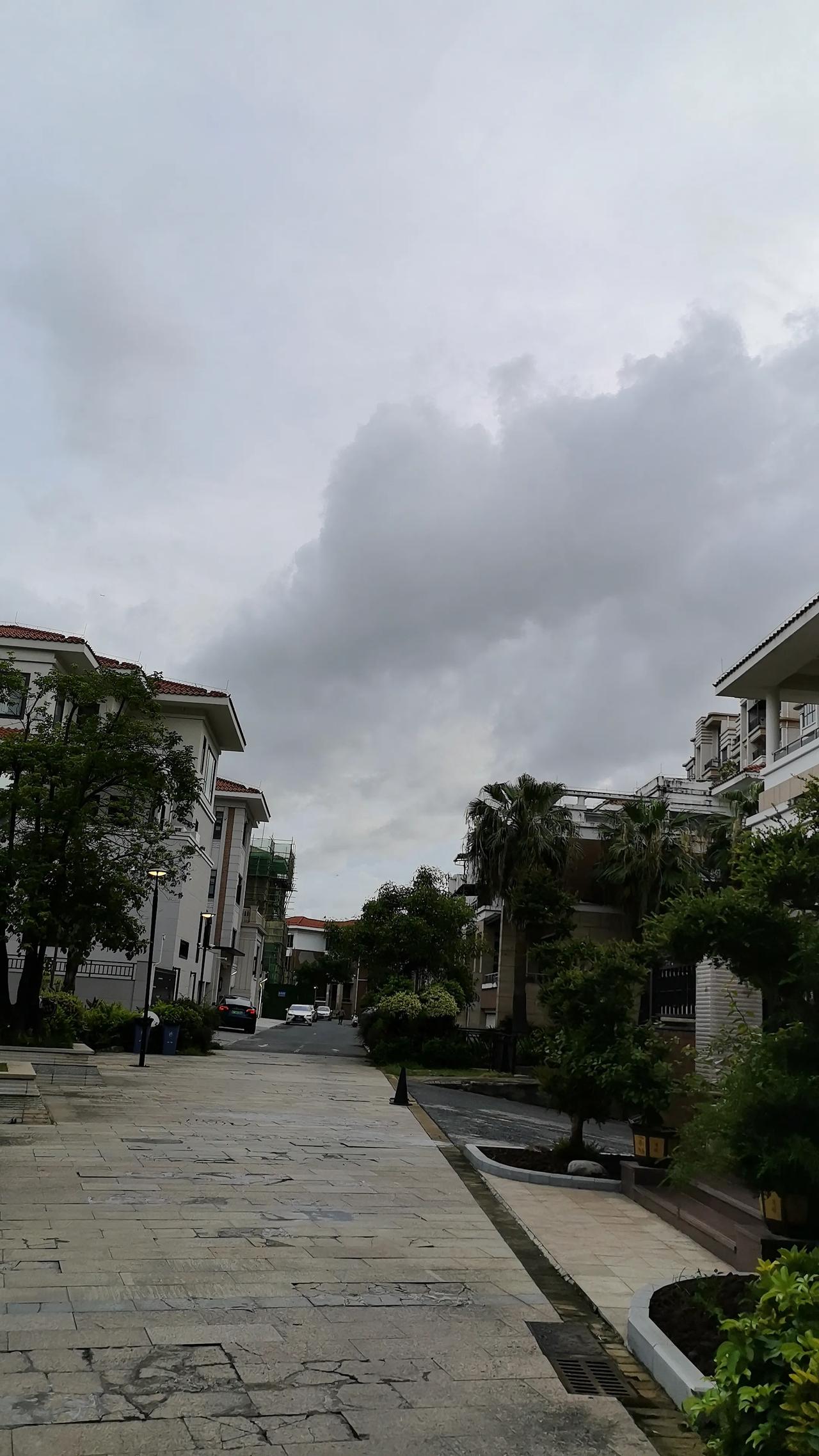 夏日生活打卡季台风天，注意安全