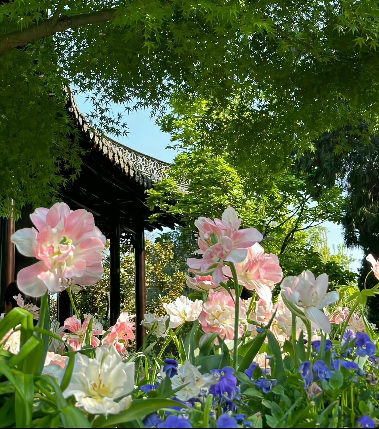 玩加早安 各地在大年初三有什么特别的习俗吗？2026lpl2026lck