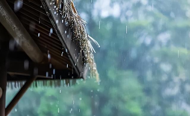 1883年，清光绪九年，浙江奉化葛竹村外金竹庵内，一名年轻女子叩门求入，声泪俱下