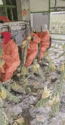 这属于半自动化吧