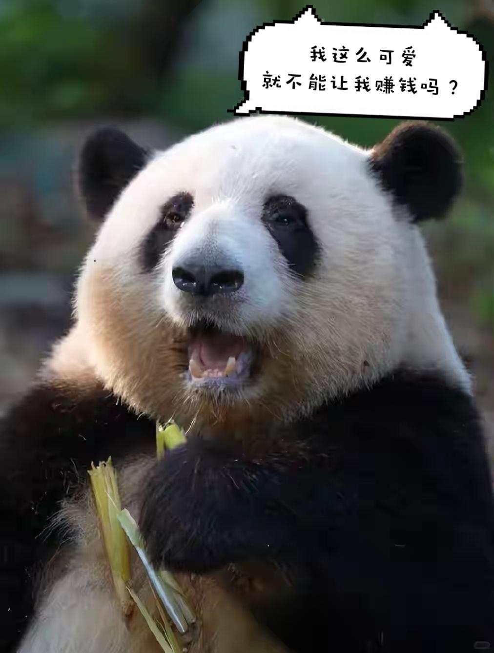 吾日三省吾身，反思，总结，自我批评。