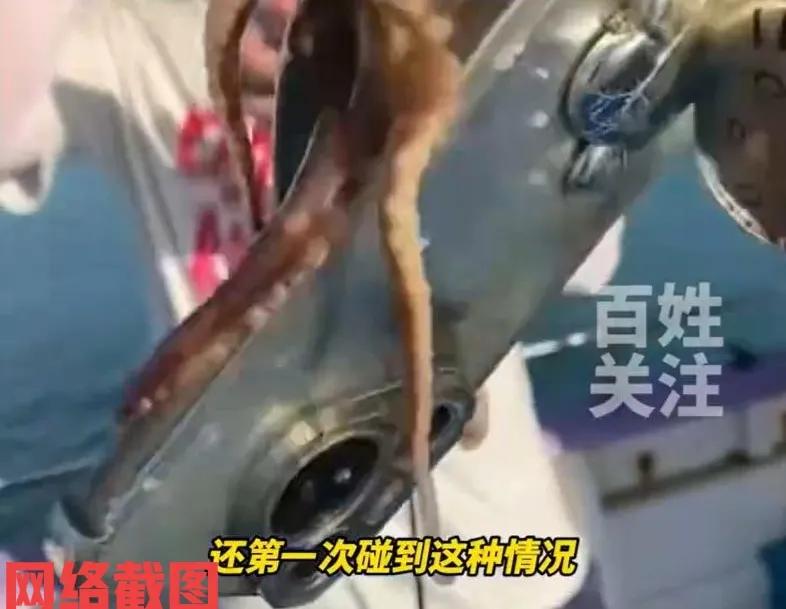 福建有一男子坐游艇去海钓。

此刻男子心情不错，慢条斯理的开始今日海钓，只不过刚