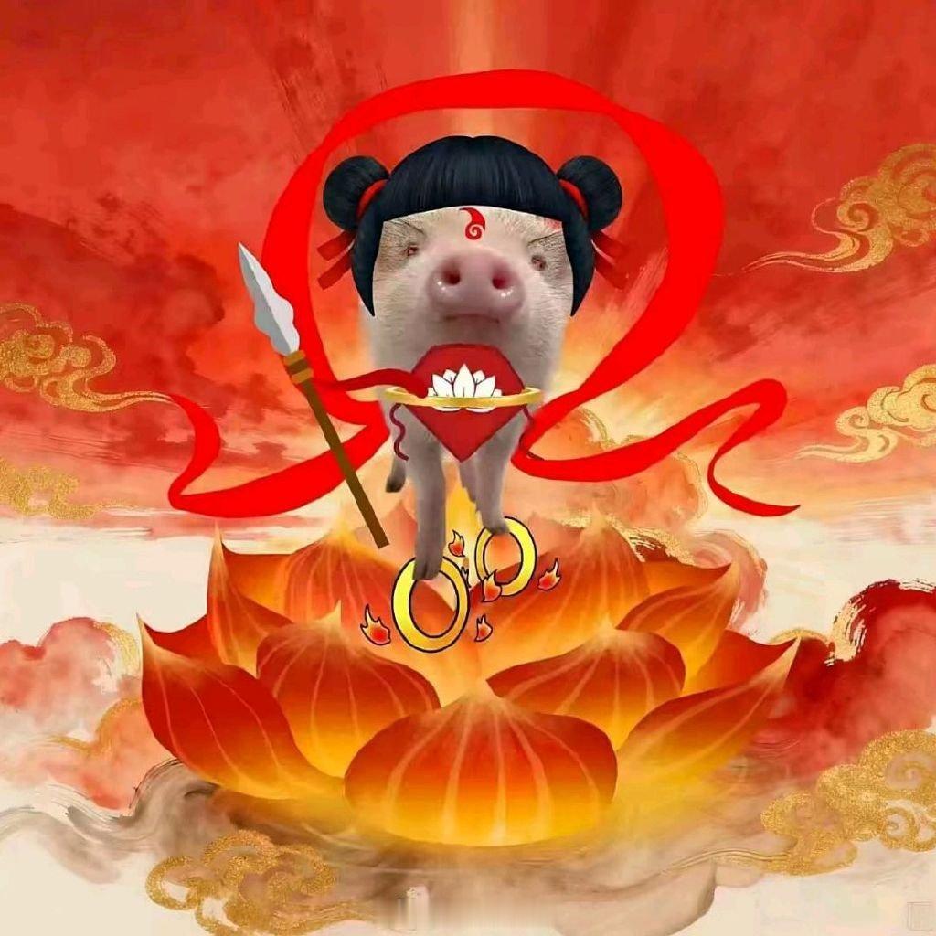 这是魔丸  无法选中 