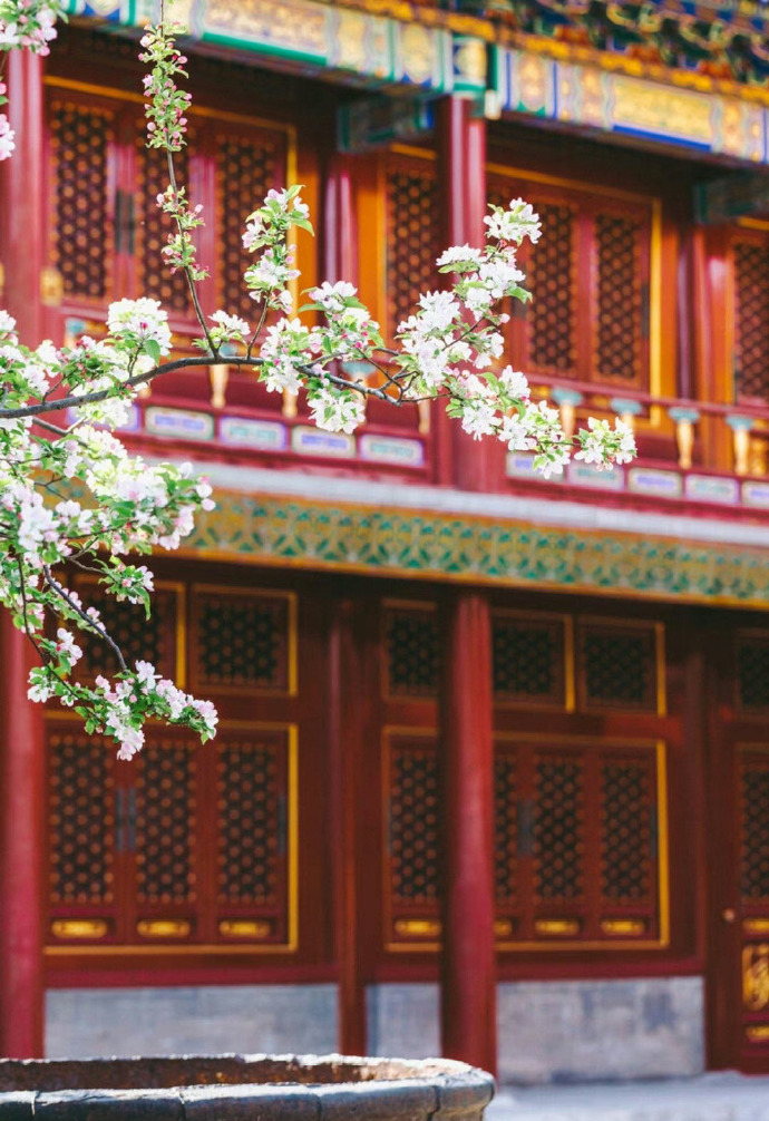 花间朱阁 … ​​​
