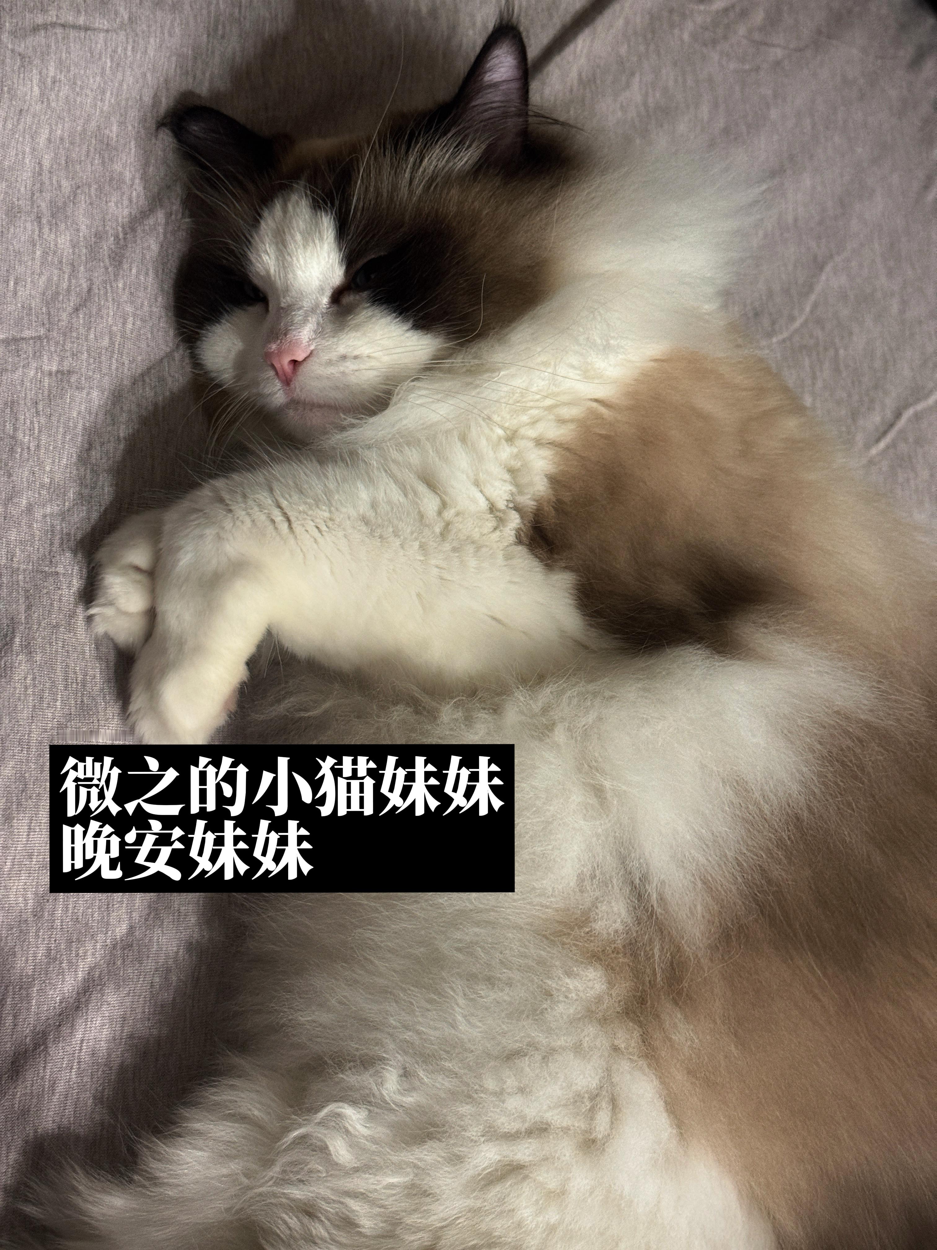 最近明天我们好好地过