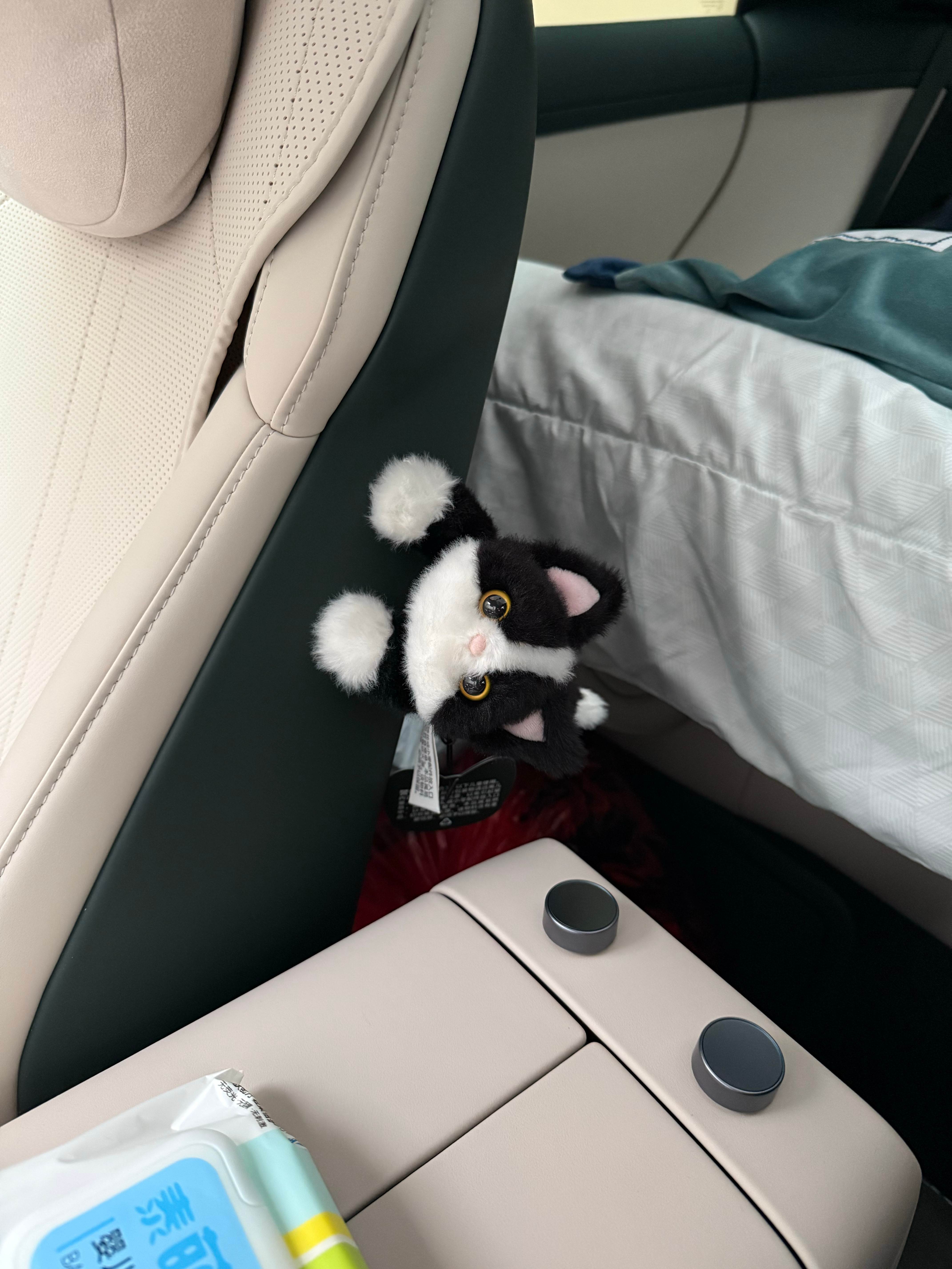 上回抢到的猫已经在我的小米yu7﻿ 上啦，这回抢到了水獭，可以说是猫獭双全了！不