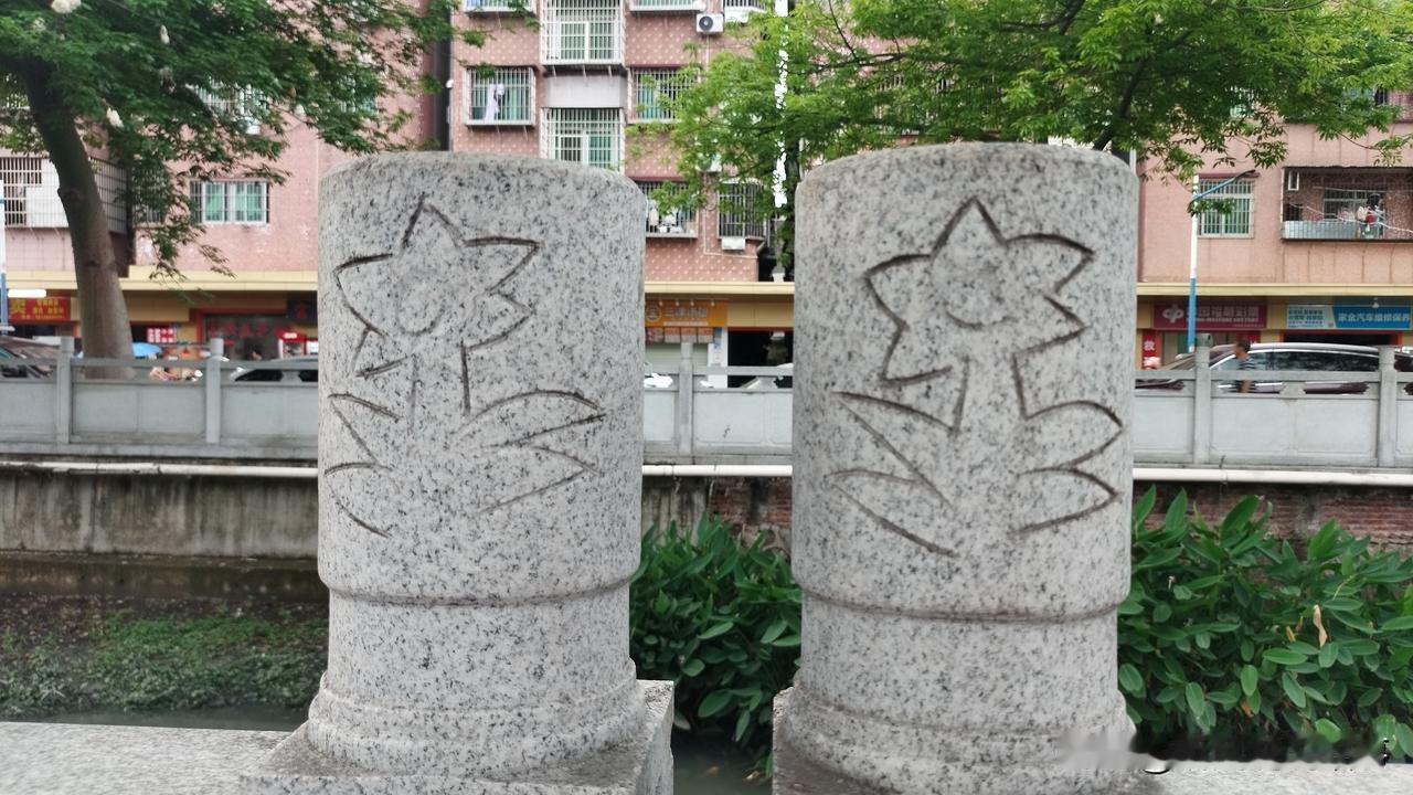 在城中村两岸的石堤上
每一根柱子上都刻有一朵小花
第一次发现这么可爱的花
这朵小