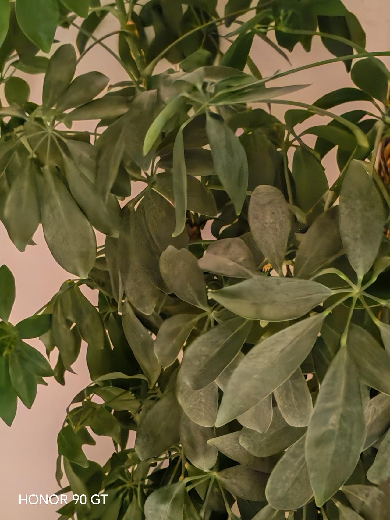 春天花会开，
快乐每一天。