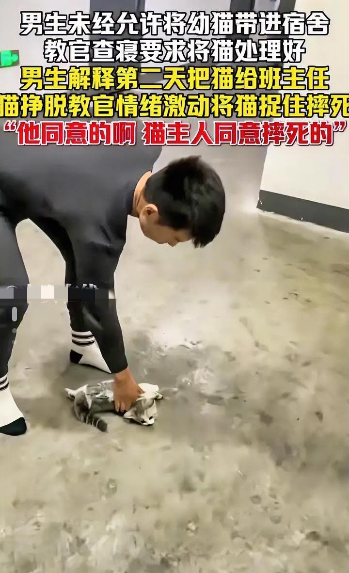 学生带猫进宿舍，教官查寝直接给摔死，这个教官是个什么人物？
在学生面前吆五喝六，